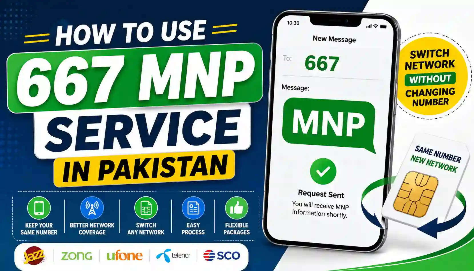 Use 667 MNP Service